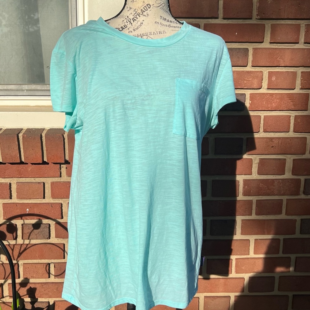 Patagonia Organic T-Shirt